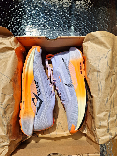 Nike pegasus trail gtx - 5,
