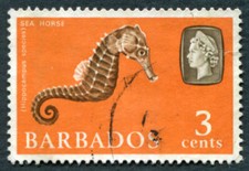 BARBADOS 1967 3c SG344 used NG Marine Life Lined Sea Horse #A04