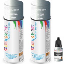 For Peugeot Spray Paint