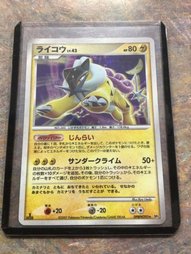 2007 pokemon japanese - 2007, raikou