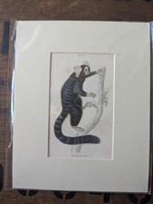 1835 Jardine Antique Monkey
