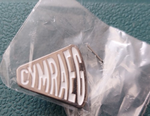 Cymraeg welsh wales - badge, pin