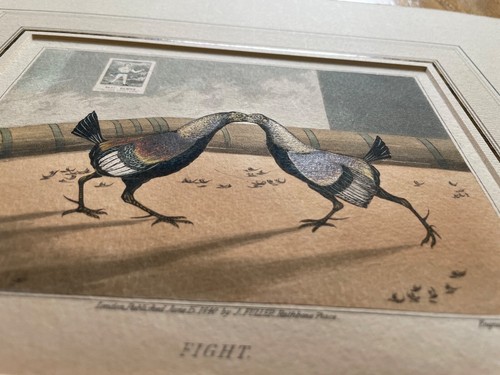 Vintage antique art cock - art,,