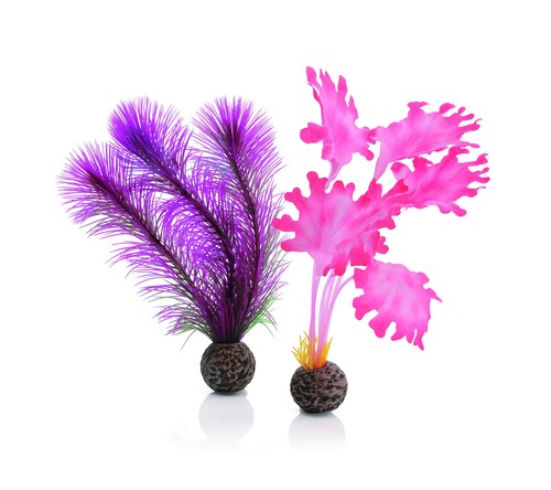 Biorb 46081 kelp set - 46081.0,
