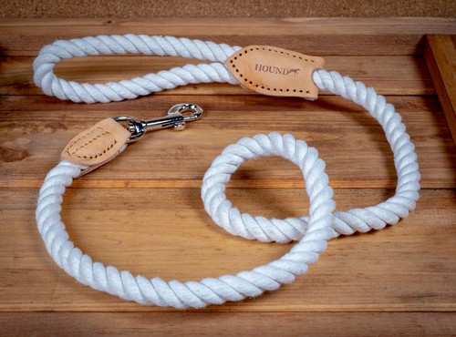Dog lead hound real - dog,