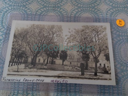Alz vintage photograph - vintage, spencer