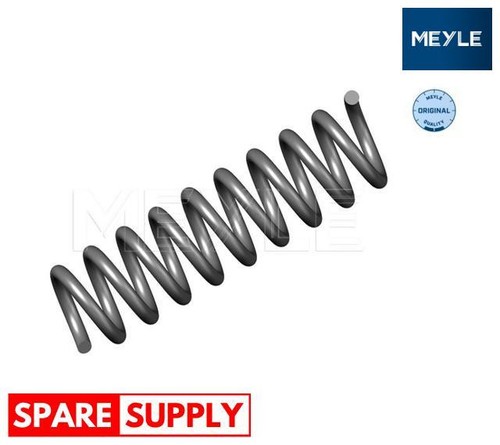 Coil spring for mercedes - spring,