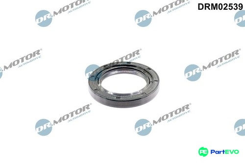 Motor automotive front - automotive,