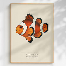 Clownfish Print Amphiprion