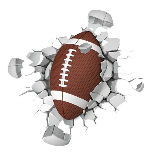 Reusable pvc rugby ball - reusable, wall