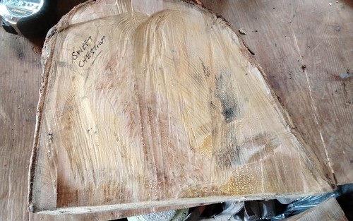Sweet chestnut bowl blank wood - sweet,