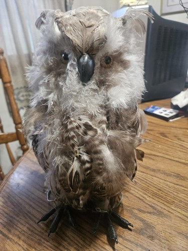 Reproduction owl fake mount - reproduction,