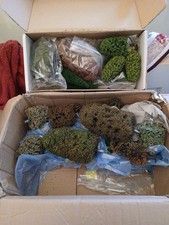 OO Gauge Assorted Trees Joblot For Model Railway Or Diorama