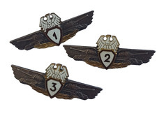 Polish Mechanic Tank Driver