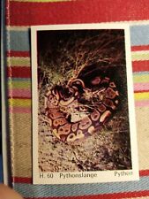 Pt3 Trade Card Dandy Gum Wild