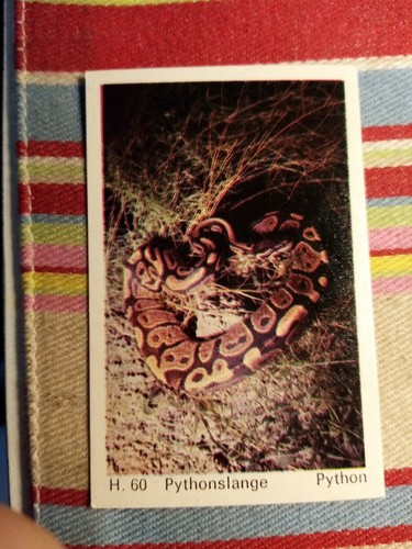 Pt3 trade card - card, gum