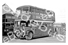 Bus Photograph BRISTOL OMNIBUS