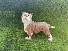 Boxer Dog Sparkle A Breed