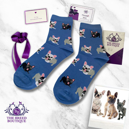 French bulldog socks pairs - socks, x