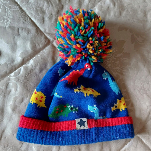 Next boys dinosaur - next, hat