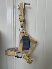 Lemieux Velvet padded