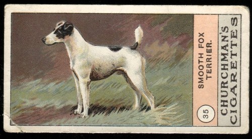 Tobacco card churchman dogs - churchman,,