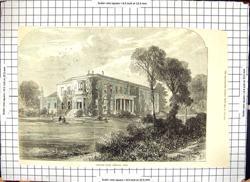 Antique old print tichborne - old,
