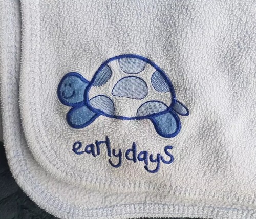 Early days blue tortoise - early,