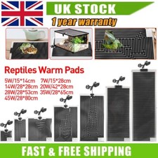 For Reptile Pet 5W-45W