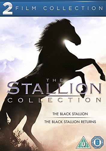 The black stallion - /,