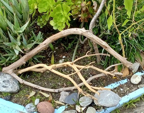 Set large driftwood - set, of