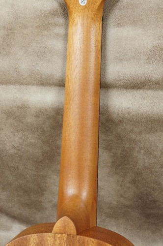 Kala ubass nomad - kala, ukulele