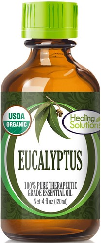 Organic eucalyptus essential - eucalyptus,