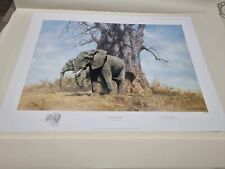 David Shepherd limited edition signed print "baobab friends" never seen daylight