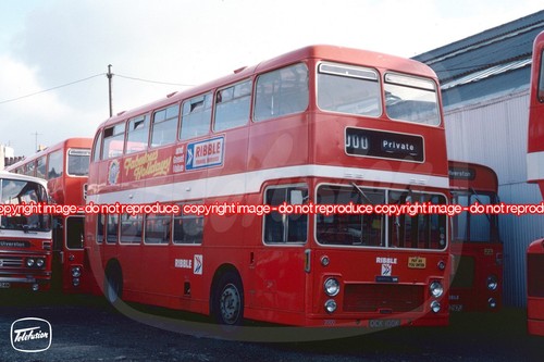Bus photo ribble - bus,