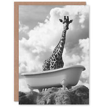 Giraffe in Bathtub on a Hill