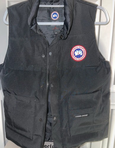 Black canada goose - canada, warmer