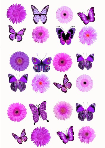 Magenta pink mixed butterflies - magenta,