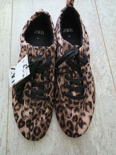 Zara derby leopard trainer