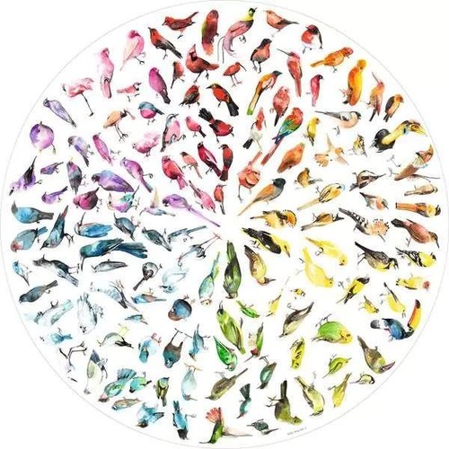 Ravensburger bird colour - bird, wheel