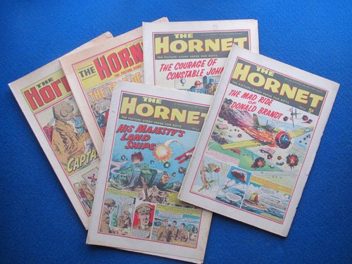 The hornet comic - the,
