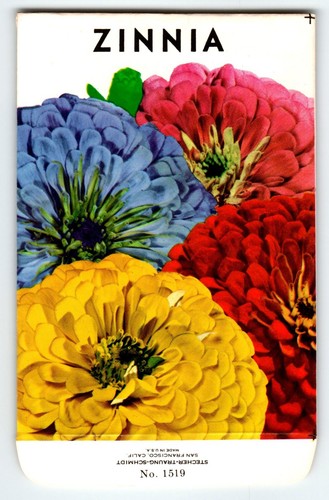Zinna flowers seed packet - seed,
