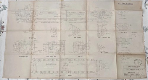 Fred everard vintage ship - mv,