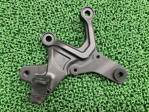 Left step holder - , z900rs