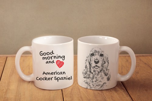 American cocker spaniel - cocker,