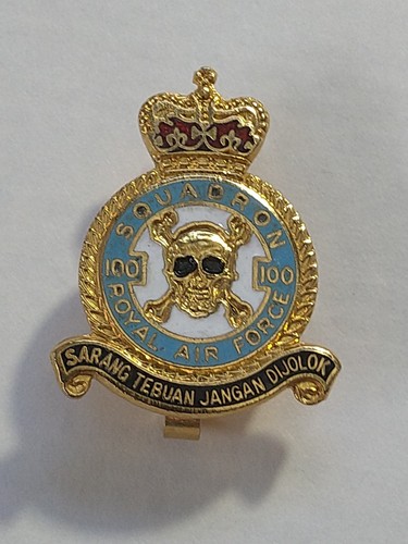 Raf 100 squadron - squadron, pin