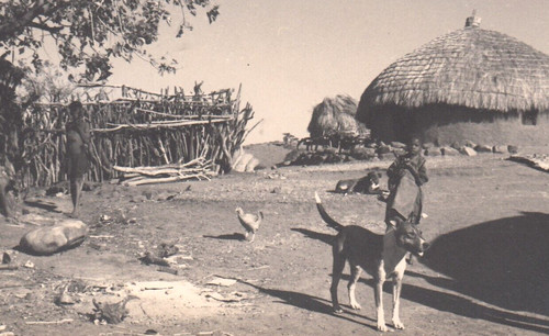 1941 photo traditional native - 1941,