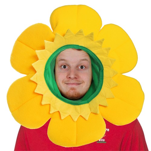 David day welsh daffodil - day,