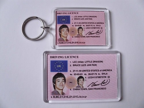 Bruce lee keyring fridge - bruce,