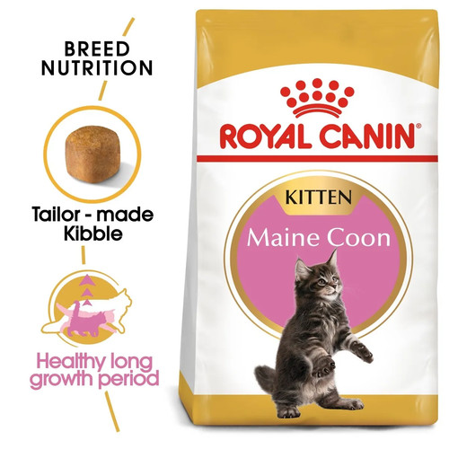 Royal canin maine coon - royal, kitten